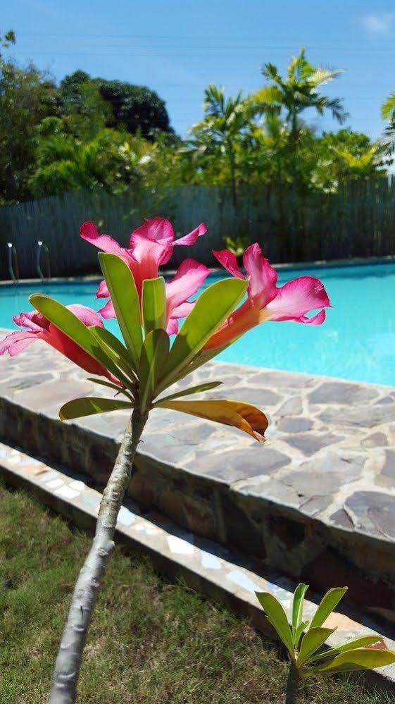 Villa Formosa Panglao Bagian luar foto